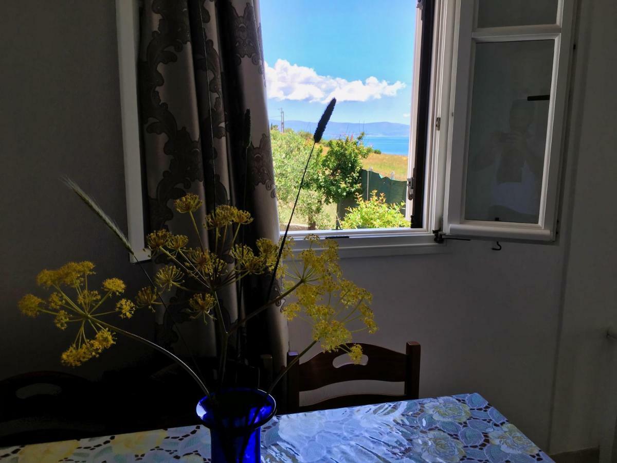 Anthoula'S Sea View Apartment Piso Livadi Luaran gambar
